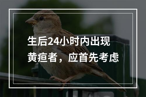 生后24小时内出现黄疸者，应首先考虑