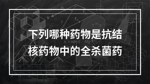 下列哪种药物是抗结核药物中的全杀菌药