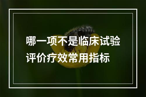 哪一项不是临床试验评价疗效常用指标