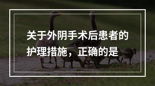 关于外阴手术后患者的护理措施，正确的是