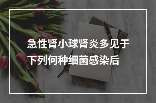 急性肾小球肾炎多见于下列何种细菌感染后