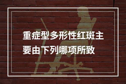 重症型多形性红斑主要由下列哪项所致