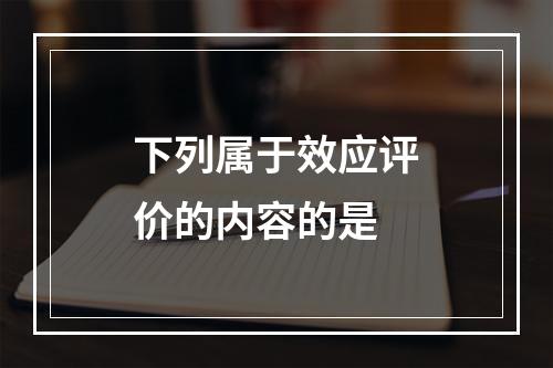 下列属于效应评价的内容的是