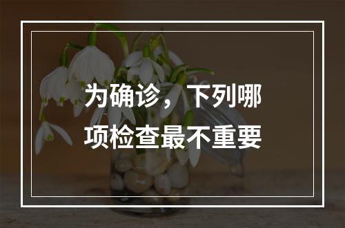 为确诊，下列哪项检查最不重要