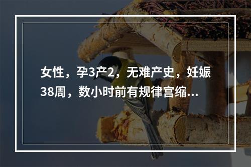 女性，孕3产2，无难产史，妊娠38周，数小时前有规律宫缩。急