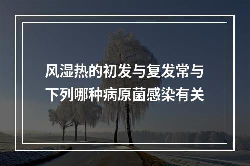 风湿热的初发与复发常与下列哪种病原菌感染有关