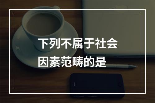 下列不属于社会因素范畴的是