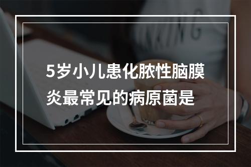 5岁小儿患化脓性脑膜炎最常见的病原菌是