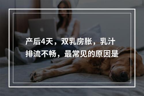 产后4天，双乳房胀，乳汁排流不畅，最常见的原因是