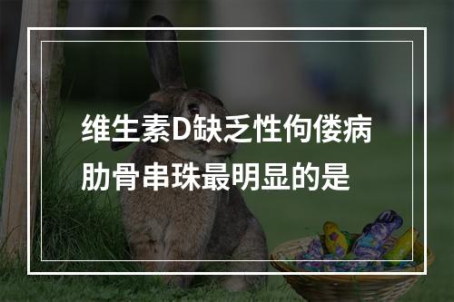 维生素D缺乏性佝偻病肋骨串珠最明显的是