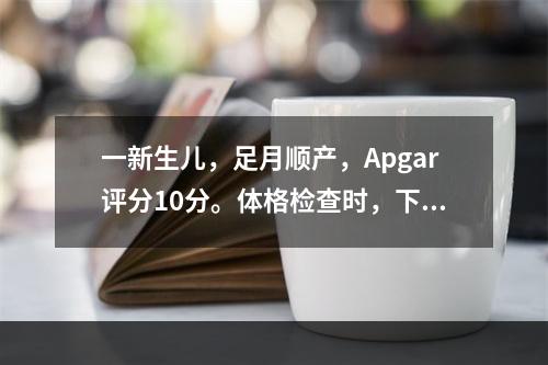 一新生儿，足月顺产，Apgar评分10分。体格检查时，下列哪