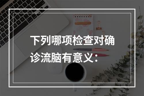 下列哪项检查对确诊流脑有意义：