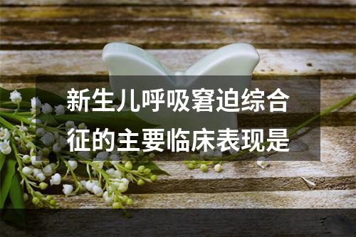 新生儿呼吸窘迫综合征的主要临床表现是