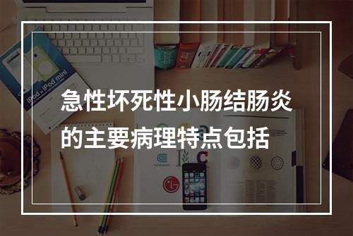 急性坏死性小肠结肠炎的主要病理特点包括