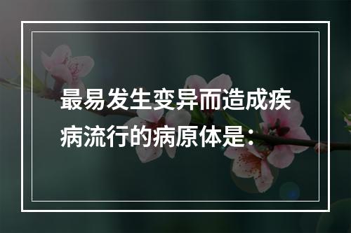 最易发生变异而造成疾病流行的病原体是：