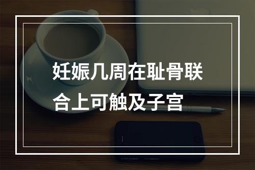 妊娠几周在耻骨联合上可触及子宫