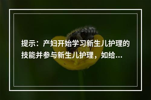 提示：产妇开始学习新生儿护理的技能并参与新生儿护理，如给新生