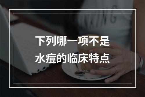 下列哪一项不是水痘的临床特点