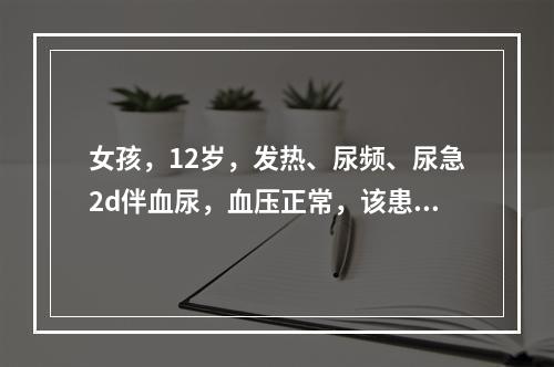 女孩，12岁，发热、尿频、尿急2d伴血尿，血压正常，该患儿可