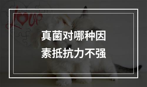 真菌对哪种因素抵抗力不强