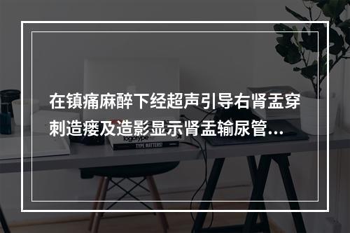 在镇痛麻醉下经超声引导右肾盂穿刺造瘘及造影显示肾盂输尿管连接