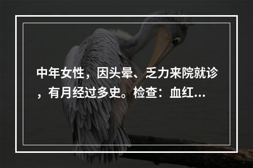 中年女性，因头晕、乏力来院就诊，有月经过多史。检查：血红蛋白