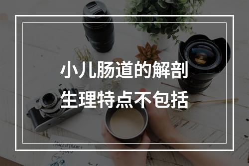 小儿肠道的解剖生理特点不包括