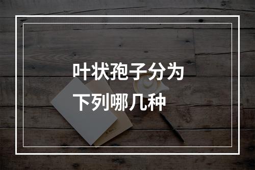 叶状孢子分为下列哪几种