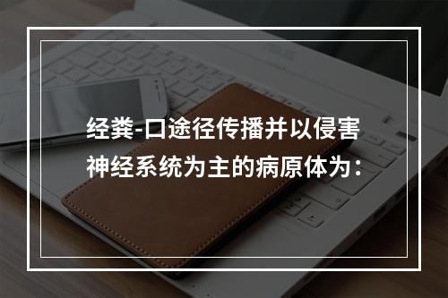 经粪-口途径传播并以侵害神经系统为主的病原体为：