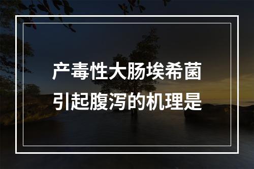 产毒性大肠埃希菌引起腹泻的机理是