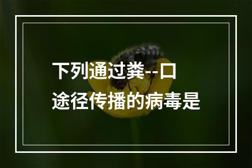 下列通过粪--口途径传播的病毒是