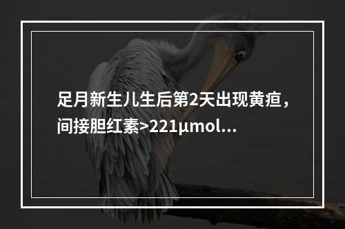 足月新生儿生后第2天出现黄疸，间接胆红素>221μmol/L