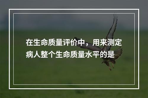 在生命质量评价中，用来测定病人整个生命质量水平的是