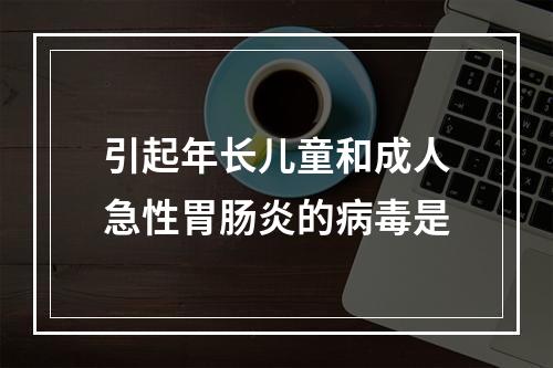 引起年长儿童和成人急性胃肠炎的病毒是