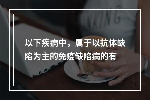 以下疾病中，属于以抗体缺陷为主的免疫缺陷病的有