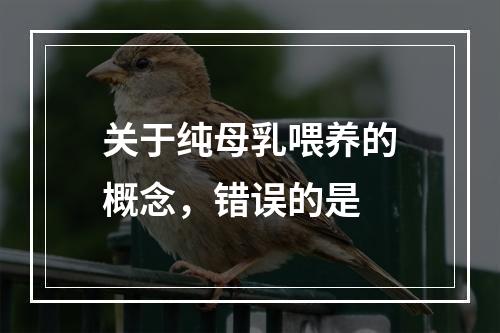 关于纯母乳喂养的概念，错误的是