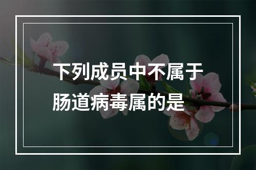 下列成员中不属于肠道病毒属的是