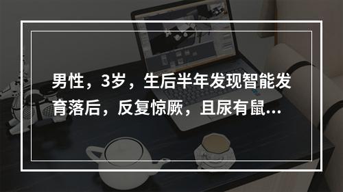 男性，3岁，生后半年发现智能发育落后，反复惊厥，且尿有鼠尿臭