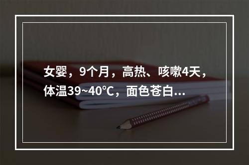 女婴，9个月，高热、咳嗽4天，体温39~40℃，面色苍白、发