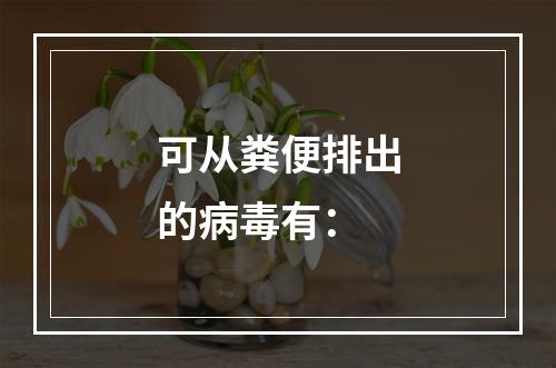 可从粪便排出的病毒有：