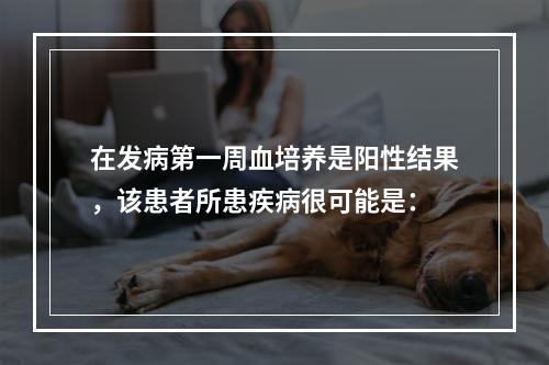 在发病第一周血培养是阳性结果，该患者所患疾病很可能是：