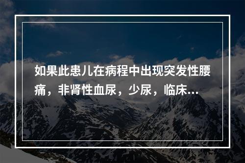 如果此患儿在病程中出现突发性腰痛，非肾性血尿，少尿，临床诊断