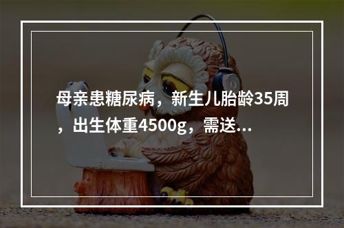 母亲患糖尿病，新生儿胎龄35周，出生体重4500g，需送新生