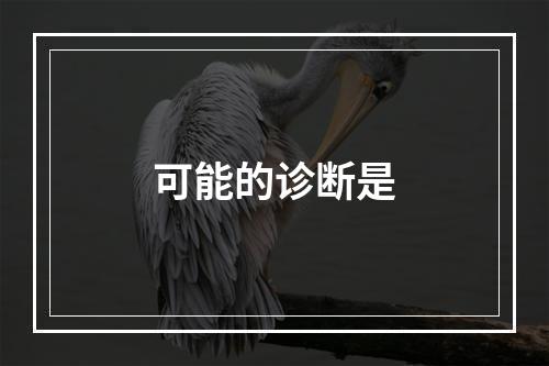 可能的诊断是