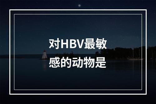 对HBV最敏感的动物是