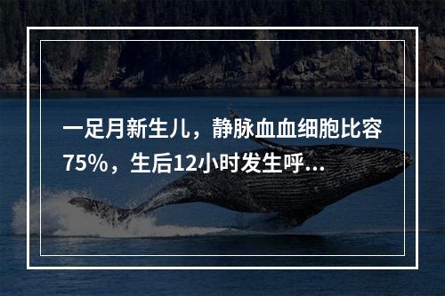 一足月新生儿，静脉血血细胞比容75％，生后12小时发生呼吸暂