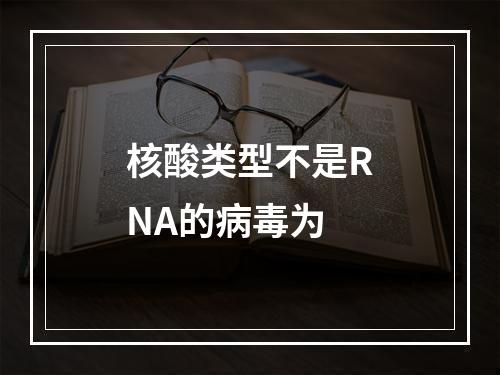 核酸类型不是RNA的病毒为