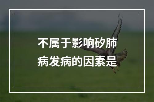 不属于影响矽肺病发病的因素是