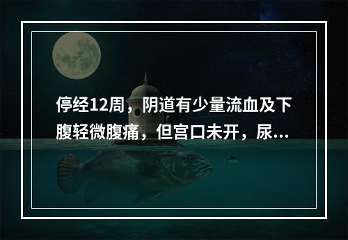 停经12周，阴道有少量流血及下腹轻微腹痛，但宫口未开，尿妊娠