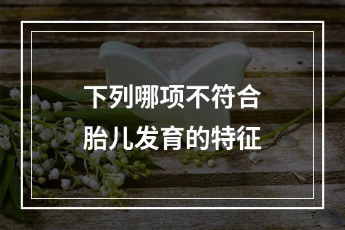 下列哪项不符合胎儿发育的特征